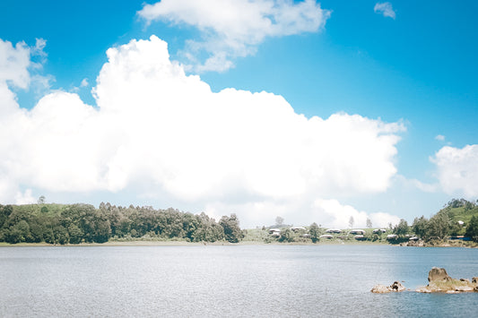 Daya Tarik Danau di Ciwidey, Situ Patenggang Bisa Jadi Tujuanmu!