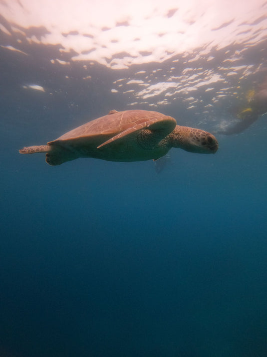 Objek Wisata Di Lombok Selain Gili Trawangan